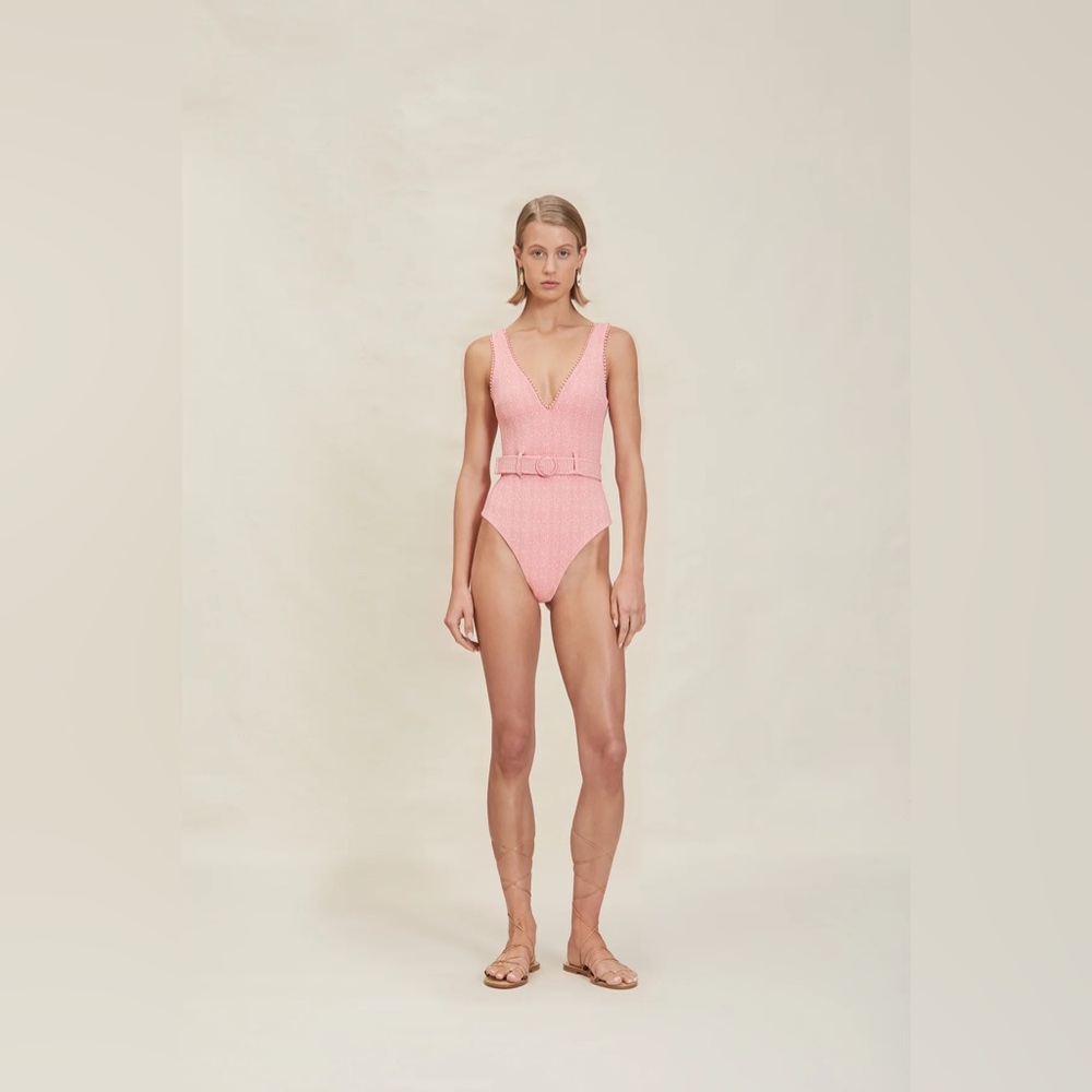 NWT Devon Windsor Dixie One Piece